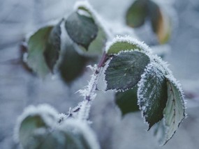 芒种时节母婴关怀——温馨文案与实用指南芒种 文案